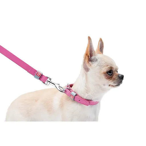 Нашийник для собак шкіряний Waudog Classic Ш 12 мм Д 19-25 см рожевий - фото 8