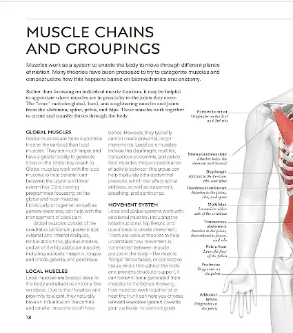 Science of Stretch - фото 5