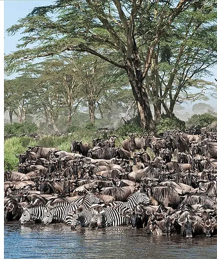 Natural Wonders of the World - фото 13