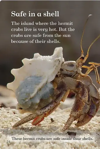 Where Animals Live. Ladybird Readers. Level 3 - фото 2