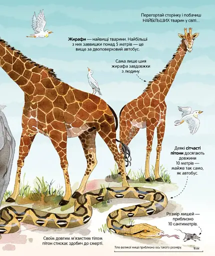 Велика книга тварин - фото 3