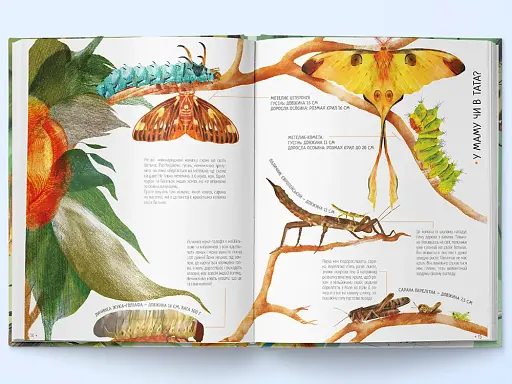 Комахи на всі 100% - фото 2