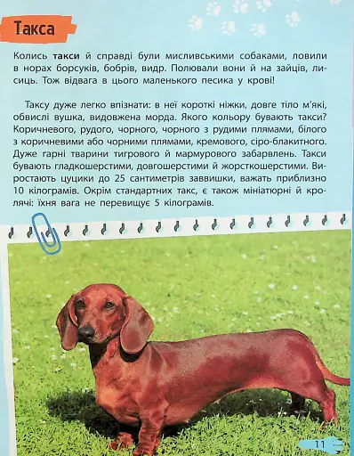 Мініенциклопедія. Хатні улюбленці - фото 11