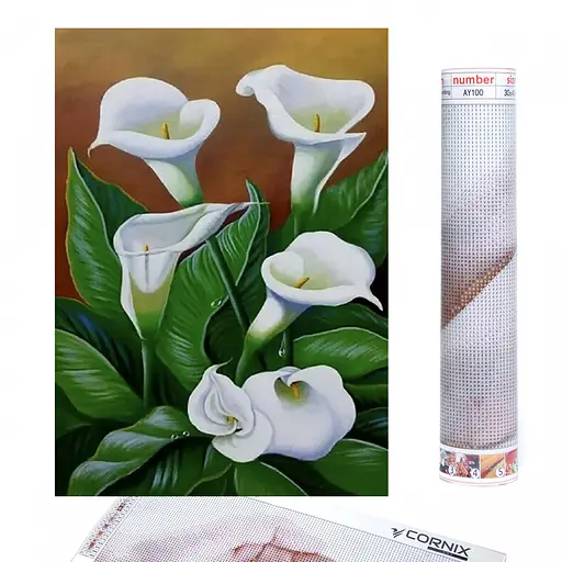 Набір алмазної мозаїки (вишивки) Cornix Art 40 x 30 см AY48 - фото 1