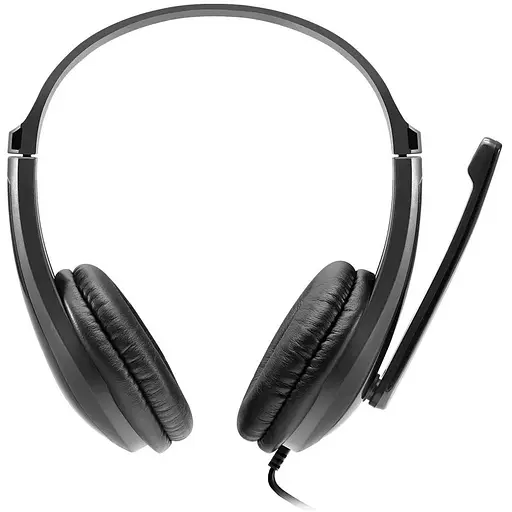 Наушники Canyon CHSU-1 Black (CNS-CHSU1B)