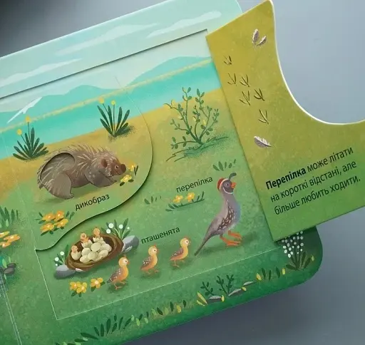 Хто живе у лісі? Зазирни у віконечко - фото 3