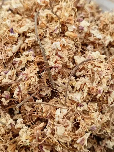 Каштан цвіт 25гр