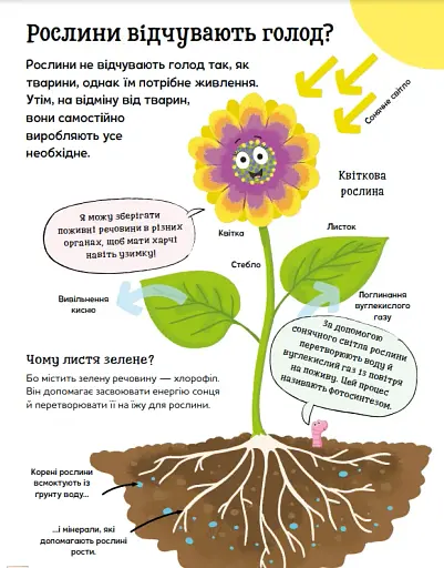 Хочу все знати про рослини - фото 4