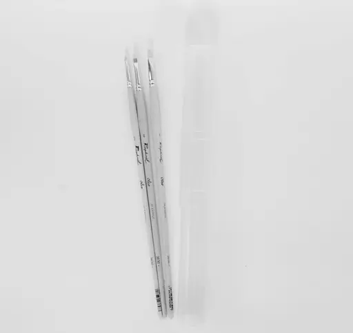 Набор кистей для масла Raphael Oleo, 3 шт, 2, 4, 6, в тубусе - фото 4