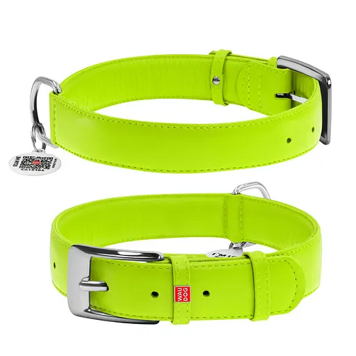Нашийник для собак шкіряний Waudog Glamour з QR-паспортом без прикрас XL Ш 35 мм Д 46-60 см салатовий