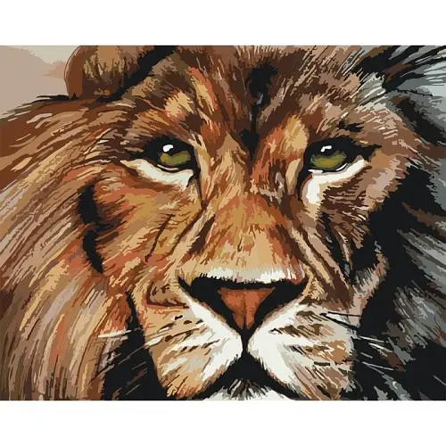 Картина по номерам "Хищный взгляд" КНО4024 - фото 1