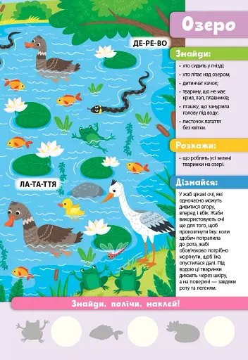 Знайди! Прочитай! Полічи! Лісова родина - фото 3