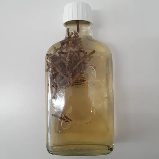 Настоянка на корінні спаржі 200 мл - фото 2