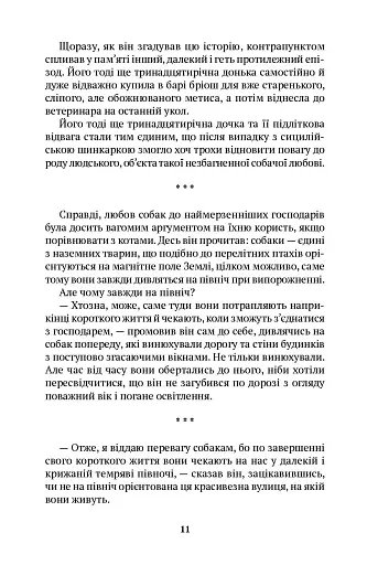 Прогулянки з собаками - фото 6