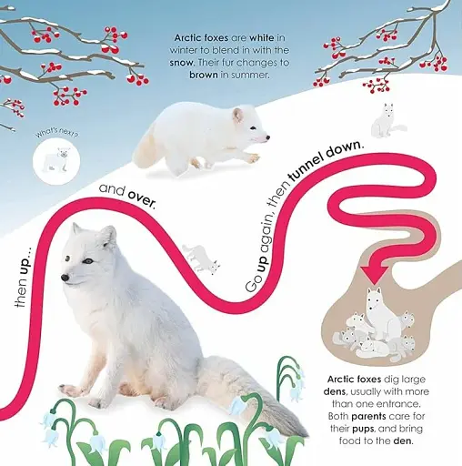 Follow the Trail. Winter Wonderland. Take a Peek! Fun Finger Trails! - фото 6