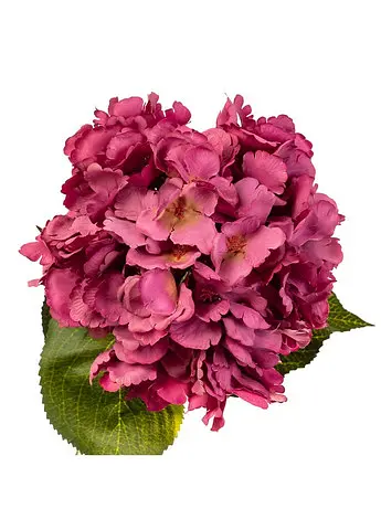 Квітка штучна "Гортензія фуксія" 72 см Elisey - фото 2