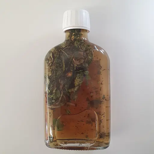 Настойка на траве одуванчика 200 мл - фото 2