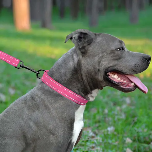 Ошейник для собак Barksi Active светоотражающий пластиковый фастекс 43-66х2.5 см розовый - фото 6