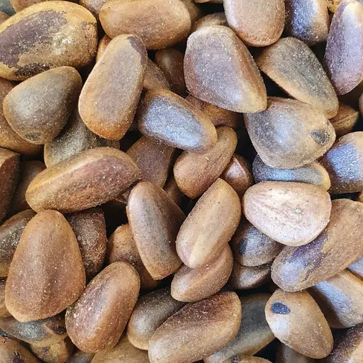 100 г кедрові горіхи сушені цілісні в шкаралупі - свіжий урожай