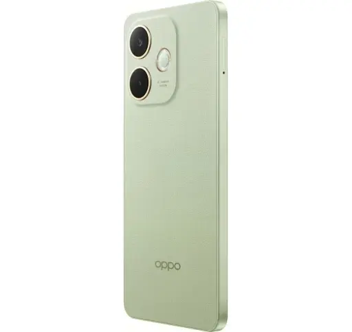Смартфон Oppo A5 Pro 4G 8/256Gb Olive Green CPH2711 UA UCRF - фото 3