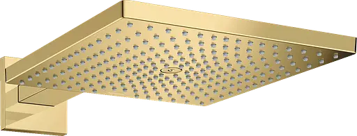 Верхний душ Hansgrohe Raindance E 300 26238990 полированное золото - фото 1