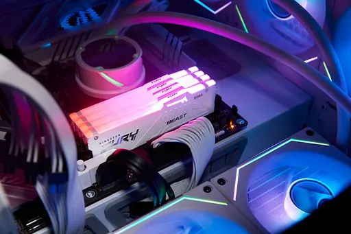 Память для ПК Kingston DDR5 32 ГБ 5600 FURY Beast Белый RGB XMP - фото 3