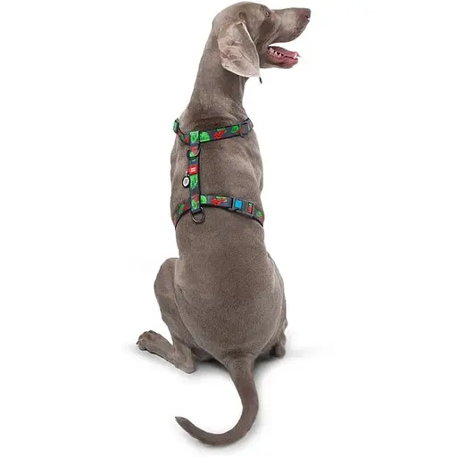 Шлея для собак Waudog Nylon анатомічна H-подібна з QR-паспортом, матеріал нейлон, малюнок "Калина", пластиковий фастекс, розмір L - фото 6