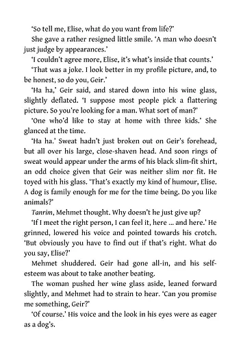 Harry Hole Series Book 11: The Thirst - фото 7