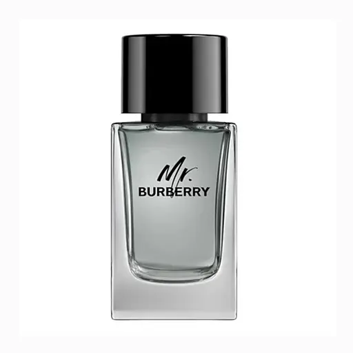 Burberry Mr. Burberry туалетная вода 100 ml - фото 2