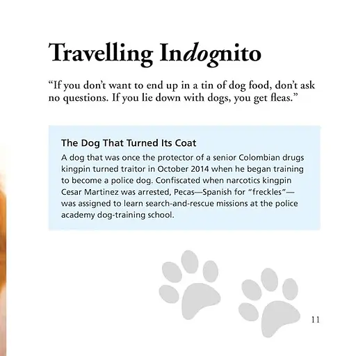 Dogs Gone Bad - Рассел Джек - фото 3