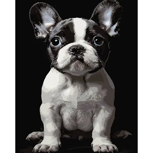 Картина по номерам Strateg Маленькая собака на черном фоне 40 x 50 см (AH1277) - фото 1