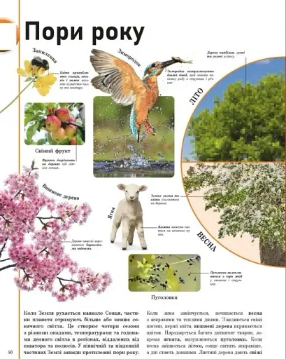 Енциклопедія про все. Наш світ у малюнках - фото 6