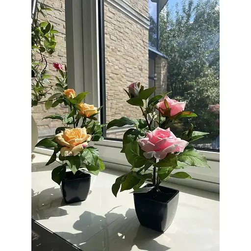 Троянда штучна Hvoya кущ в горщику 29 см рожева - фото 6