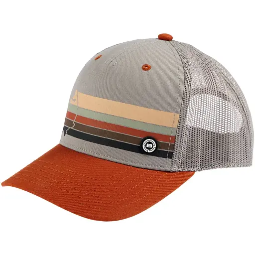 Кепка Brain Rainbow 58 Brown - фото 1