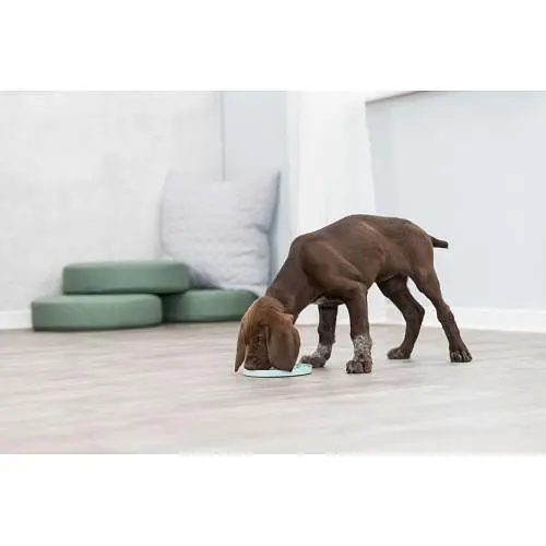 Миска Trixie Junior для повільного годування цуценят блакитна пластик d 15 см - фото 6