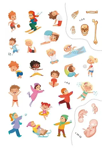 Книжка з наліпками. Тіло людини - фото 6