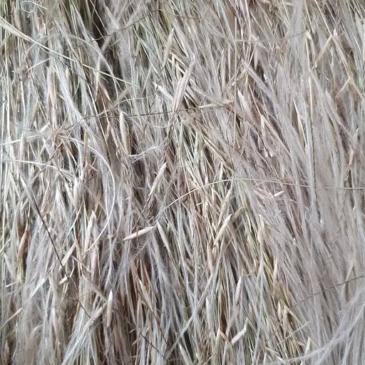 100 г ковыль трава сушеная - свежий урожай