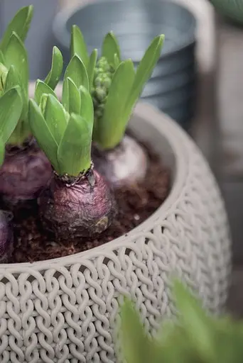 Підвісний горщик з кашпо для квітів Keter Cozies M, бежевий, 36 см - фото 2