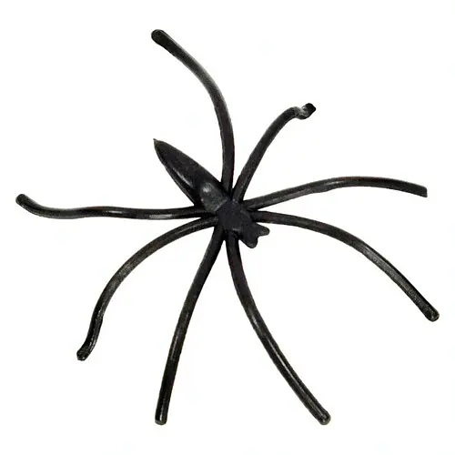 Паук с тонкими ножками - фото 1