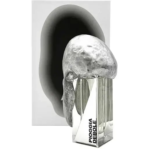 Духи оригинал Filippo Sorcinelli Pioggia Moderata 50 мл Extrait de Parfum - фото 1