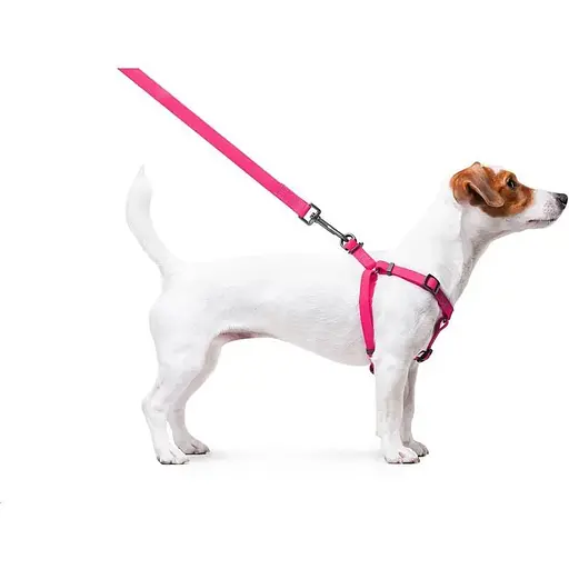 Шлея для собак Waudog Waterproof водостійка з QR паспортом, металічна пряжка-фастекс, рожевий - фото 5
