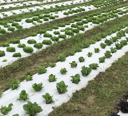 Агроволокно Shadow 50 г/м², 1.6х100 м, з перфорацією (3 отвори), чорно-біле (АВЧБП0003) - фото 4