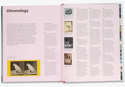 Why We Photograph Animals - фото 6