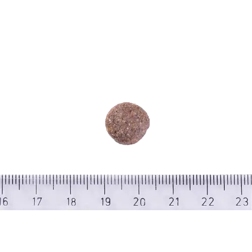 Сухой корм Brit Care Dog Grain-free Adult для собак малых и средних пород, беззерновой с лососем, 1 кг - фото 3