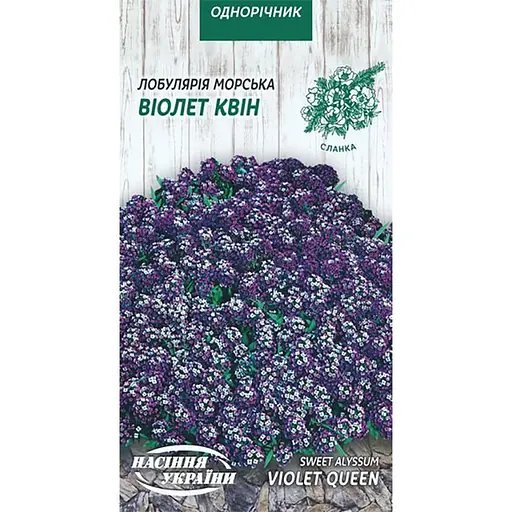 Семена Лобулярия морская Насіння України Виолет квин 0.1 г (766500)