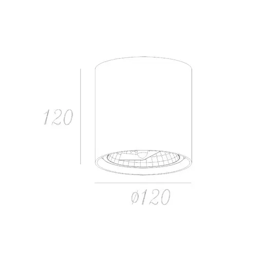Світильник точковий Zuma Line 50631 BOX - фото 2