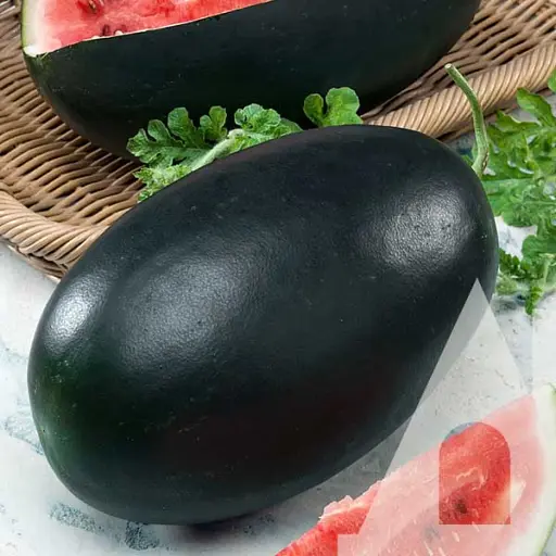 Насіння кавуна Садиба Фульвія F1, 5 шт.