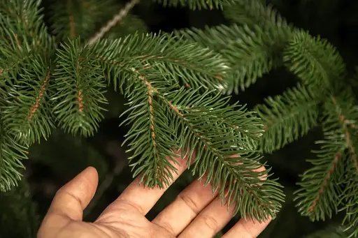 Елка искусственная Лита Ковалевская Зеленая 1,8м. - фото 2