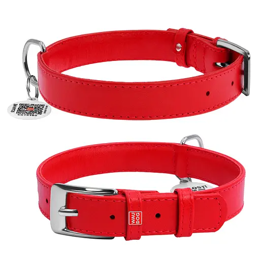 Ошейник для собак кожаный Waudog Glamour с QR-паспортом без украшений L Ш 25 мм Д 38-49 см красный