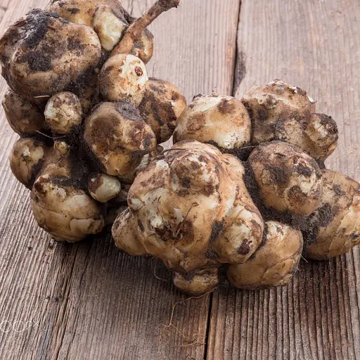 Топінамбур свіжий на посадку, земляна груша, бульбоносний, бараболя, не митий, 10 кг упаковка - фото 4